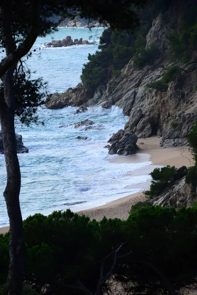Spanje Lloret Mar Provincie Gerona Uitzicht Stad Botanische Tuin Kleding — Stockfoto