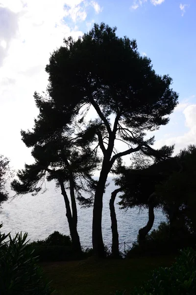 Espeleología Lloret Mar Provincia Gerona Vistas Ciudad Clothilde Jardín Botánico — Foto de Stock