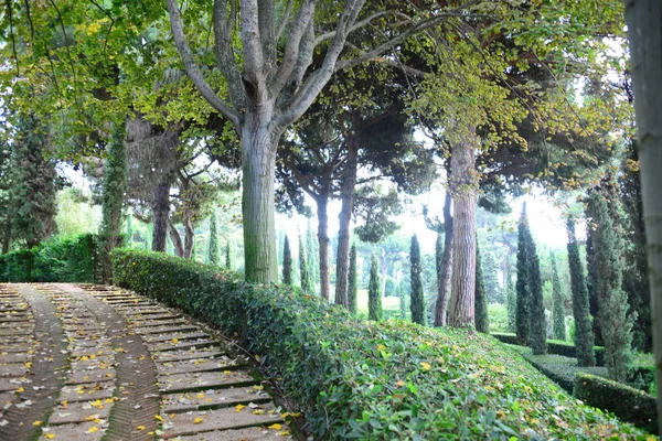 Spanien Lloret Mar Provins Gerona Utsikt Över Staden Botanisk Trädgård — Stockfoto