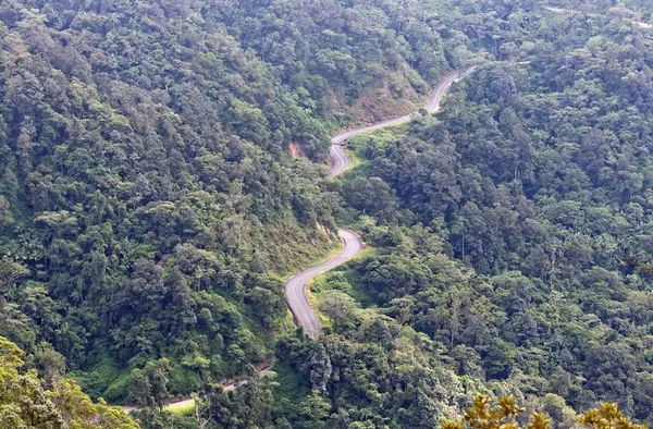 State Route Eungella — стокове фото