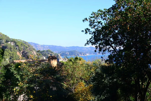 Spanien Decken Girona Provinz Botanischer Garten Palmen Kakteen — Stockfoto