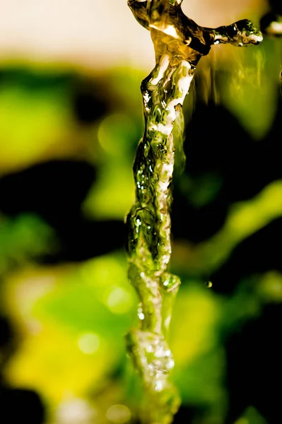 Kapky Vody Mokrém Povrchu — Stock fotografie
