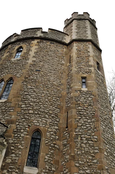 Vue Panoramique Fascinant Bâtiment Forteresse — Photo