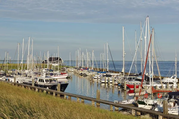 Ouddorp Goeree Overflakkee Güney Hollanda Marinasına Bakıyor — Stok fotoğraf