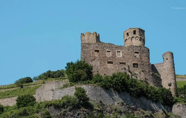 Rein Rudesheim — Fotografia de Stock