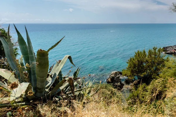 Vista Para Costa Toscana — Fotografia de Stock