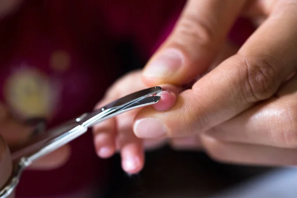 Moeder Bezuinigingen Het Jonge Geitje Nails Macro Close Weergave — Stockfoto