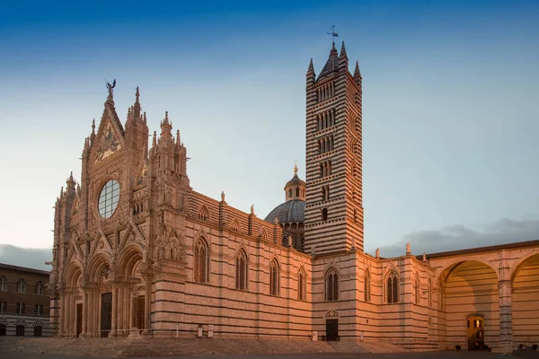 Catedral Siena Última Luz Pôr Sol — Fotografia de Stock