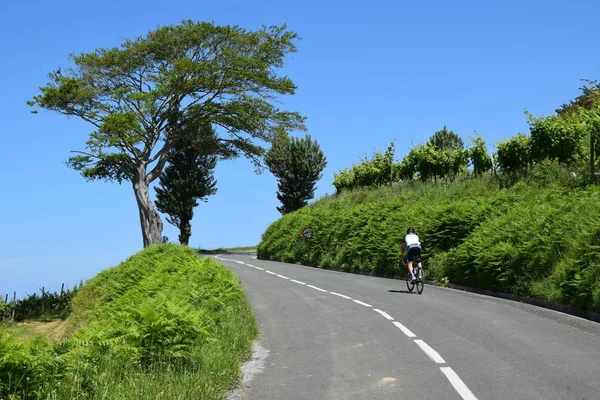 Cyclistes Pays Basque — Photo