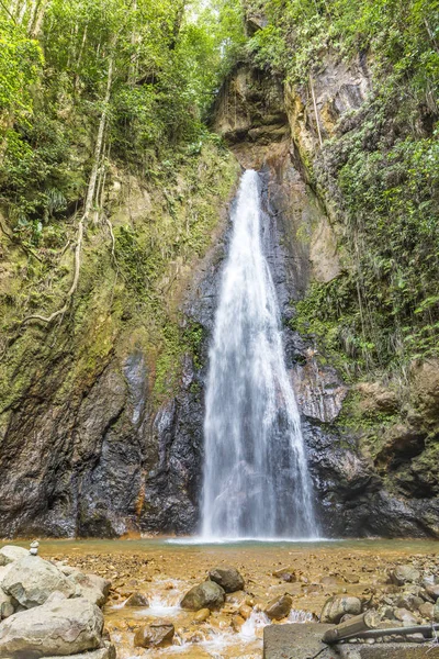 Milton Syndicate Falls Located Island Dominica West Indies Deep Rainforest — Stock Photo, Image