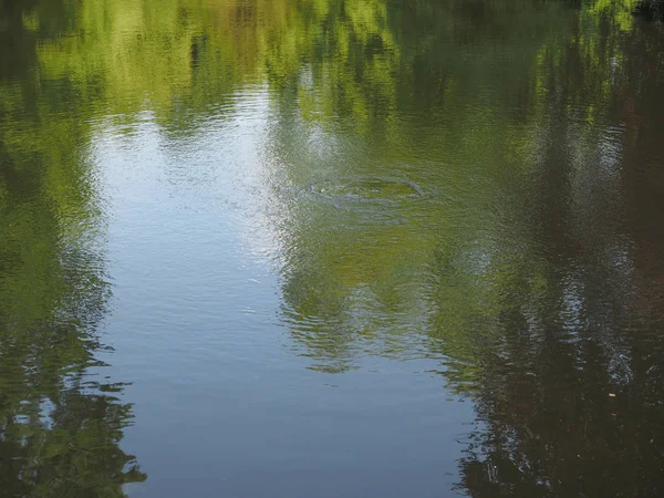 Étang Eau Avec Espace Copie Utile Comme Fond — Photo