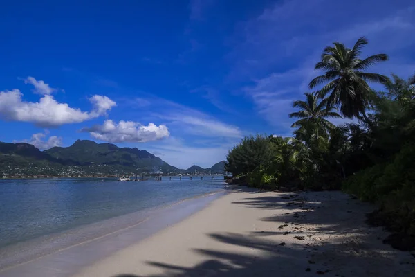 Seychelles Cerf Overlooking Mahe — Stock Photo, Image