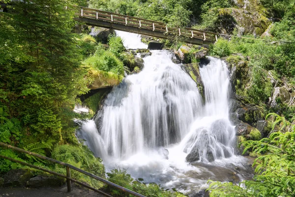 Cachoeiras Triberg Com Ponte Madeira Dia Ensolarado Verão Gravado Triberg — Fotografia de Stock