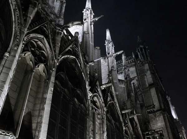 Notre Dame Paris Estilo Negro — Foto de Stock