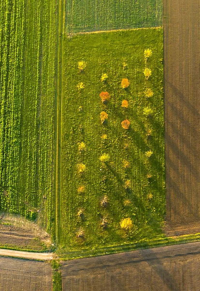 Αεροφωτογραφία Του Αγροτικού Τοπίου Αρμονική Μοτίβο Των Πεδίων Στο Ηλιοβασίλεμα — Φωτογραφία Αρχείου