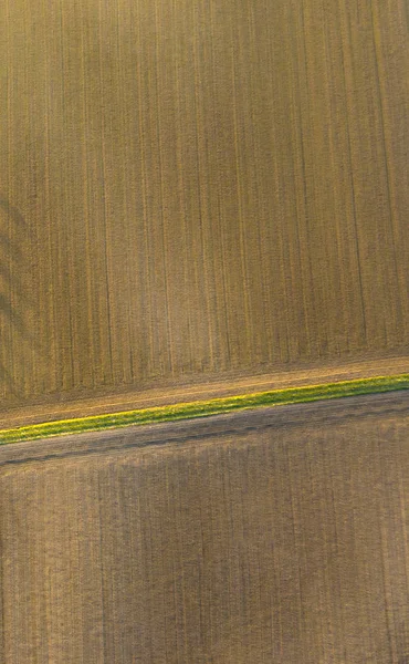 Antenne Ländlicher Landschaft Mit Harmonischem Muster Von Feldern Sonnenuntergang — Stockfoto