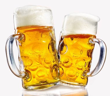 Two glass beer mugs full of golden lager with thick frothy heads over a reflective white background conceptual of the Oktoberfest clipart