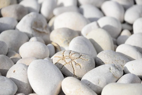 Strandsteine Naturfelsen — Stockfoto