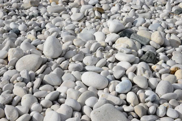 Pedras Praia Rochas Natureza — Fotografia de Stock