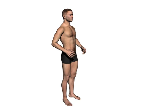 Concetto Concettuale Grasso Sovrappeso Uomo Slim Fit Con Muscoli Isolati — Foto Stock