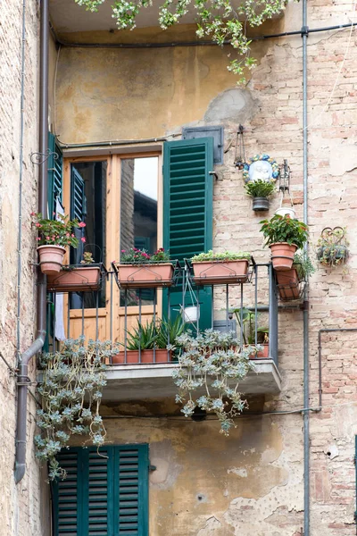 Balcón Con Flores Persianas Verdes Ciudad Medieval Siena Toscana Italia — Foto de Stock