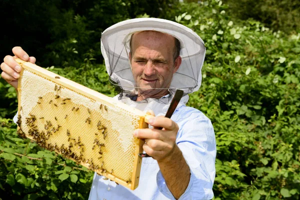 養蜂家はハニカムで働いています — ストック写真