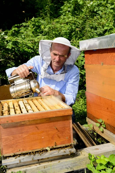 Beekeeper Work Hives Smoker — Stock Photo, Image
