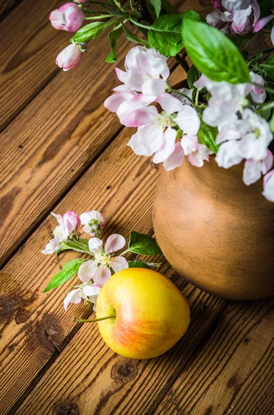 사과를 항아리에 나무의 클로즈업 — 스톡 사진