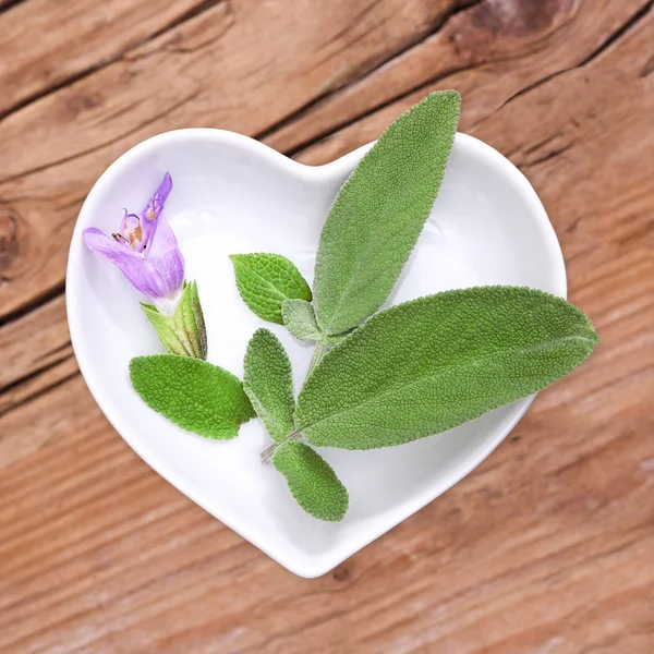 Homeopatía Cocina Con Hierbas Medicinales Salvia — Foto de Stock