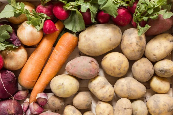 Different Root Vegetables Colorful Group Arranged Natural Life Style Biologically — Stock Photo, Image