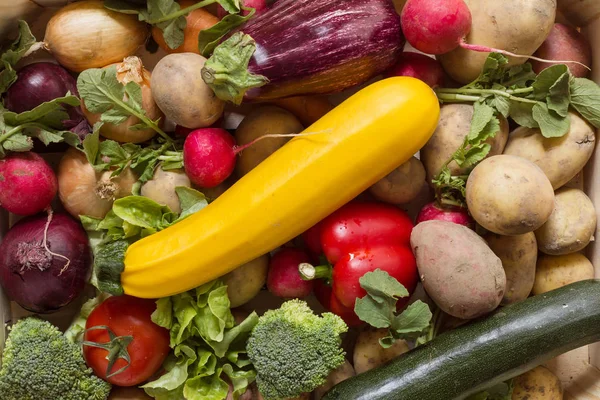 Courgettes Dan Berbagai Sayuran Organik Dalam Kelompok Berwarna Warni Diatur — Stok Foto