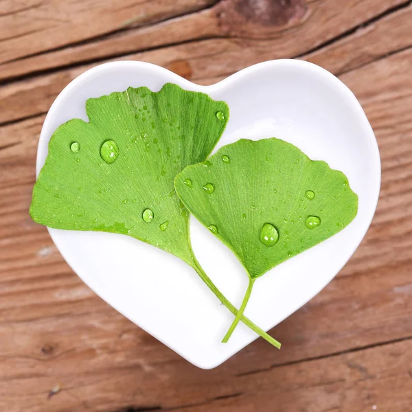 Listoví Stromu Ginkgo — Stock fotografie