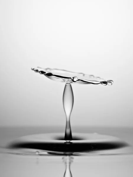 Water Drop Collision Macro Black White — 图库照片