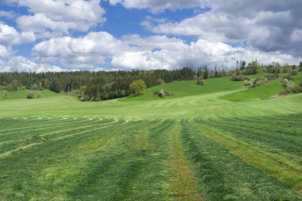 Prado Segado Con Patrón Rayado Paisaje Rural Montañoso — Foto de Stock