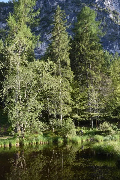Stare Jezioro Wschodni Tyrol Pomnik Przyrody Ochrona Przyrody Rezerwat Przyrody — Zdjęcie stockowe