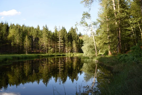 Lago Antiguo Tirol Oriental Monumento Natural Conservación Naturaleza Reserva Natural —  Fotos de Stock
