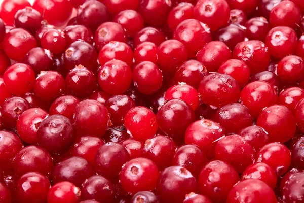 Antecedentes Cranberries Vermelhas Congeladas — Fotografia de Stock