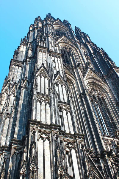 Cologne Cathedral White Light Heaven — Φωτογραφία Αρχείου