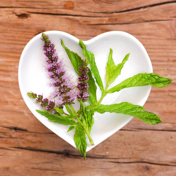 Homeopatía Cocina Con Hierbas Medicinales Menta — Foto de Stock