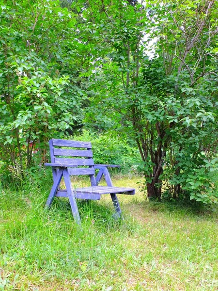 Μια Παλιά Ρουστίκ Μπλε Καρέκλα Στον Κήπο Παραγόμενα Φυτά — Φωτογραφία Αρχείου