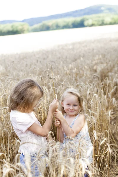 Menina Campo Cereais — Fotografia de Stock