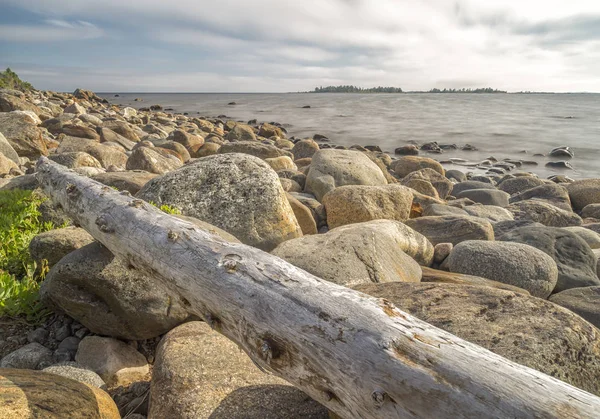 Driftwood Rocky Seashore Med Molnig Himmel — Stockfoto