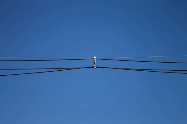 Filo Elettrico Isolato Sfondo Cielo Blu — Foto Stock