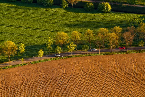 Landstraße Mit Einer Baumallee Zwischen Feldern Landschaft — Stockfoto