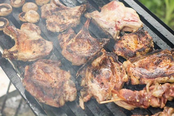 バーベキューで肉を焼き 屋外で調理 — ストック写真