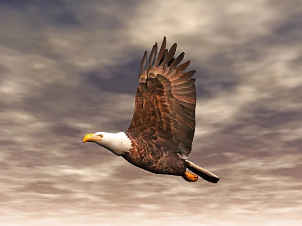 Vista Panorámica Hermoso Pájaro Naturaleza —  Fotos de Stock