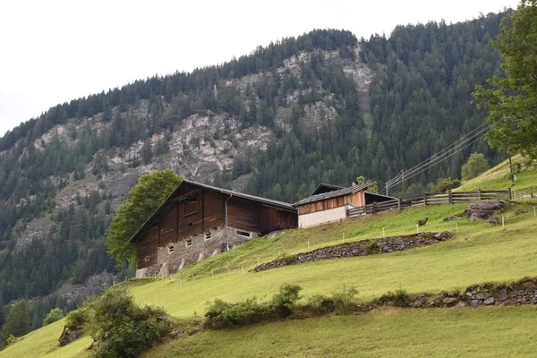 Heiligenblut Gletsjer Weide Bergboerderij Landbouw Weide Steil Berghelling — Stockfoto