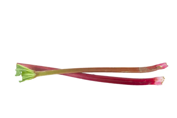 Rhubarb Ізольовані Білому — стокове фото