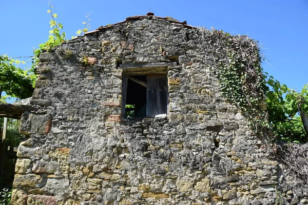 Steengroeve Huis Een Wijngaard — Stockfoto