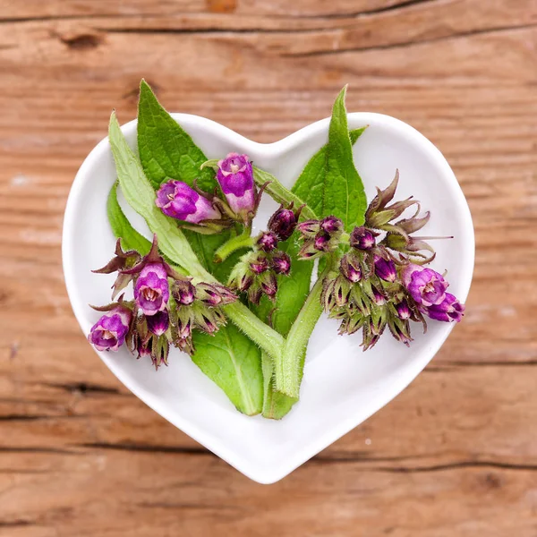 Homeopatía Cocina Con Hierbas Medicinales Consuelda — Foto de Stock